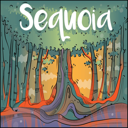 Sequoia - English - ALL001